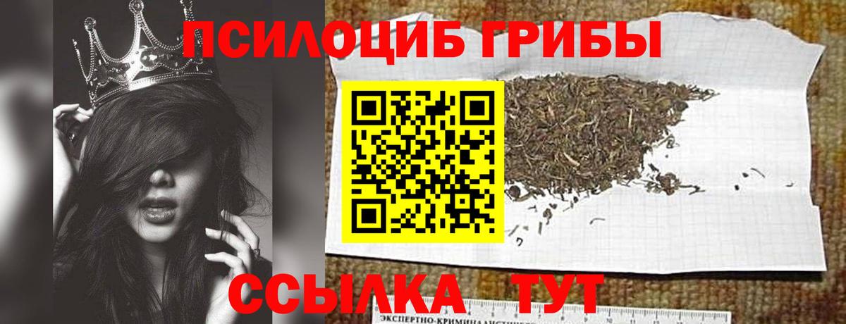Псилоцибиновые грибы ЛСД Переславль-Залесский